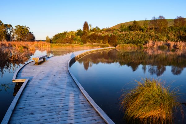 Summer News: A Quick Look at Snug's Summer Comfort Guides