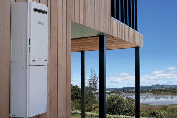 The latest Winter News from Snug