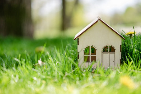 Hawke's Bay Homes: Smart Investments for Comfort, Health, and Savings